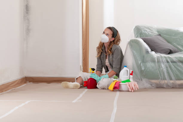 Reliable Mold Remediation contractor in Somerset, MD by Cheap Mold Removal